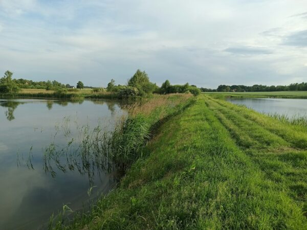 Zelf aan de slag met de CO₂-Prestatieladder? Zo doet Waterschap Noorderzijlvest het